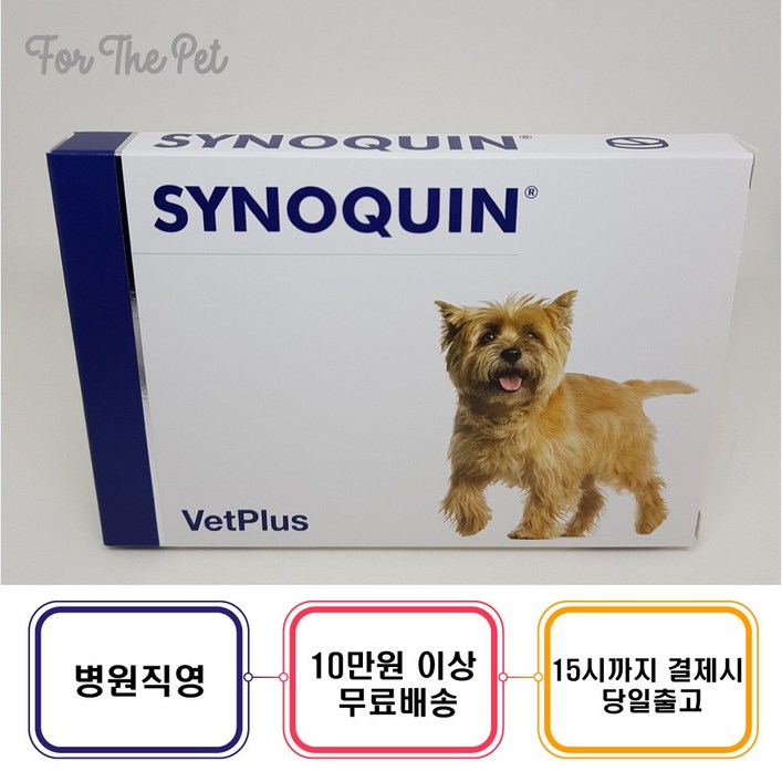 사이노퀸 30정(알약형) 영양보조제 - 당일배송