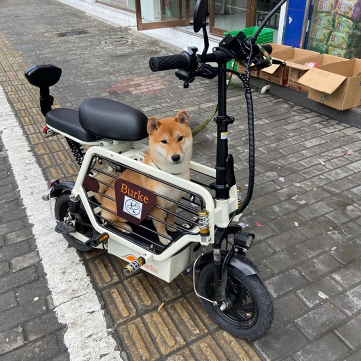 강아지전기자전거 전기자전거2인용 마트용자전거