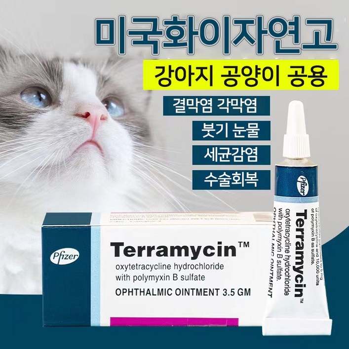 강아지 고양이 눈증 YG-1