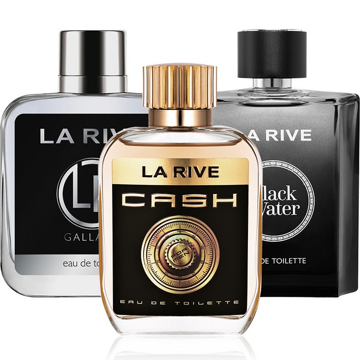 라리브 모던스타일 남성향수 100ml 3종 갈란트블랙크리크아이언스톤, 100ml