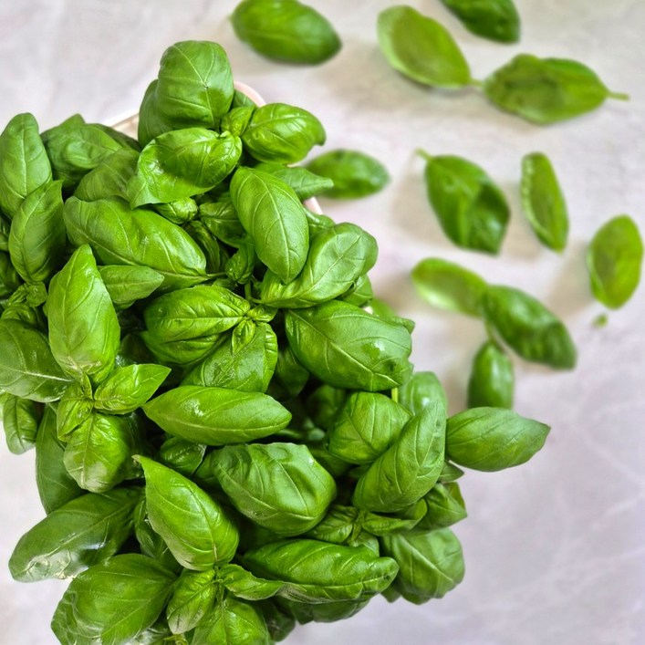 물맑은 양평 GAP인증 지평 농부 생바질500g, 500g, 1개