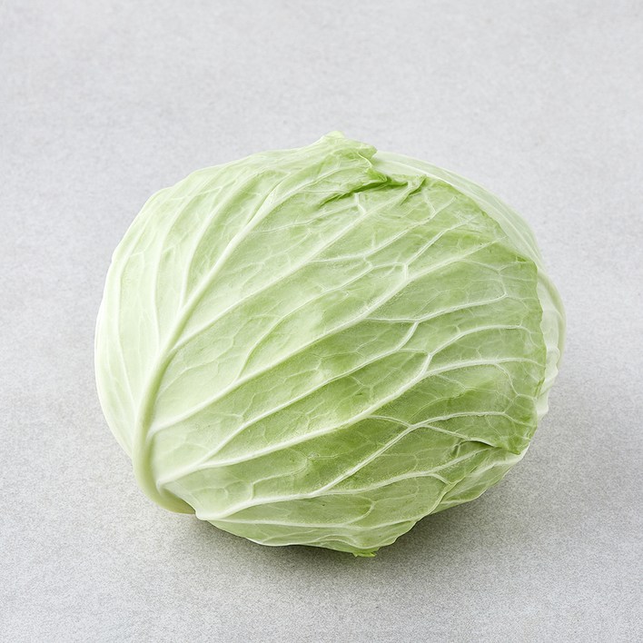 로켓프레시 작아도 맛있는 양배추