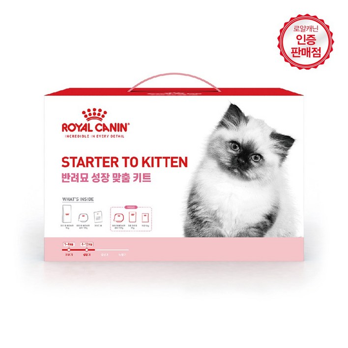 로얄캐닌 고양이 사료 성장 맞춤 패키지 총 2.35kg, 1개