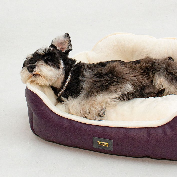 초코펫하우스 강아지 방석 쿠션 침대 로얄 사각 방석 2.0, 블랙