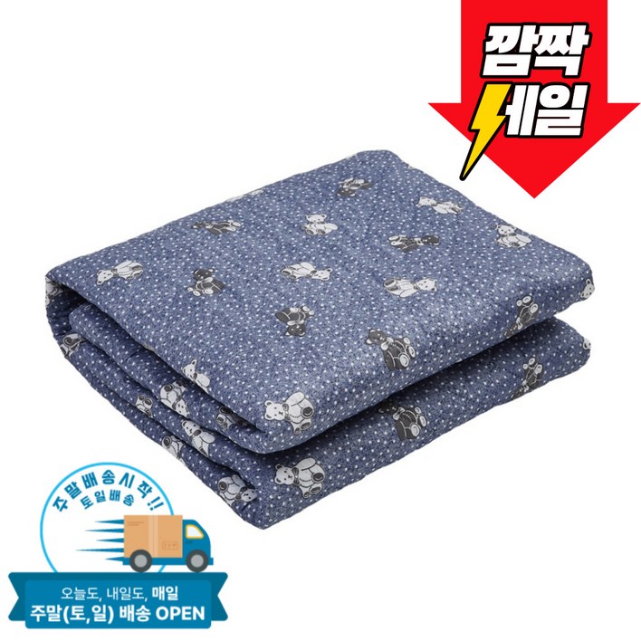 한일의료기 탄소열선 고급 전기요 보관가방 포함, 블루도트인형중100x180cm