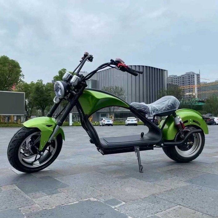 미니전기바이크 빅 타이어 더블 마운트스쿠터 오 할리, 60V  3000W 모터 35A 리튬배터리