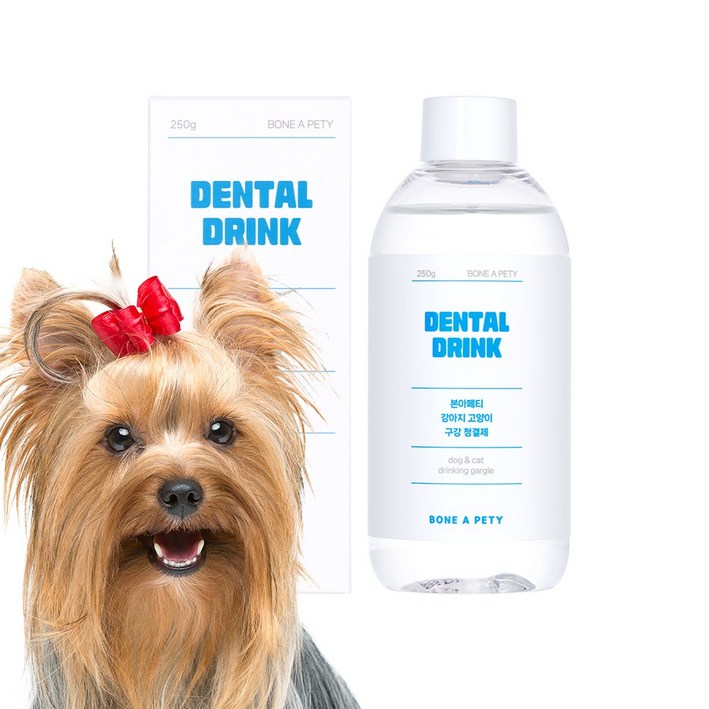 본아페티 강아지 고양이 마시는 치약 구강 청결제 입냄새 치석 제거용 덴탈드링크, 1개, 250g