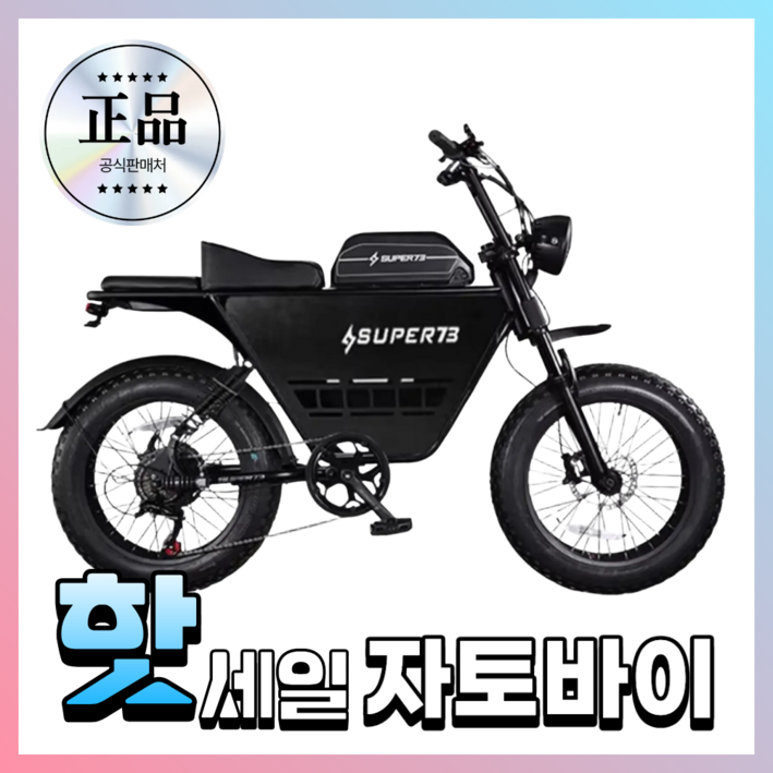 트렉포스 자토바이 전기 전동자전거 스쿠터 전기자전거 MTB 출퇴근용 배달용, S1 표준48V, 스틸