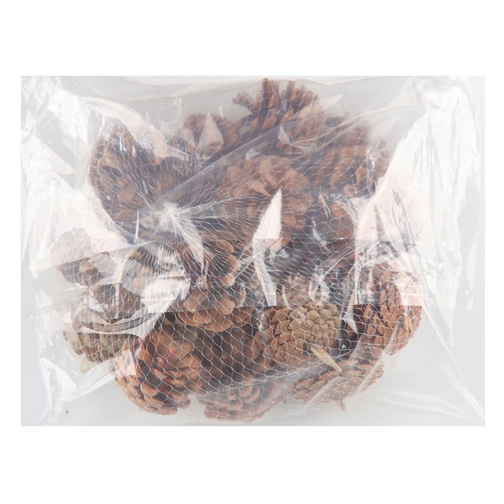 유니아트 천연솔방울 대 500g