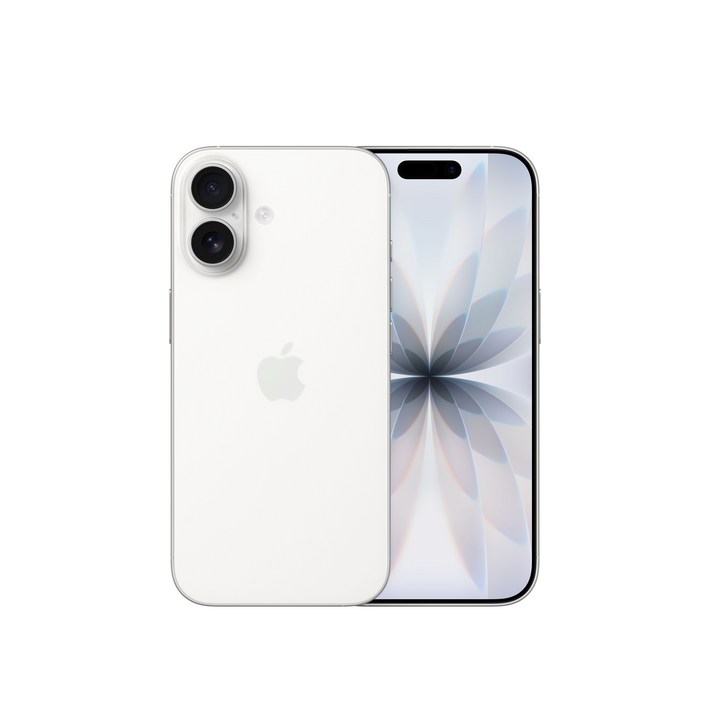 Apple 아이폰 17 자급제