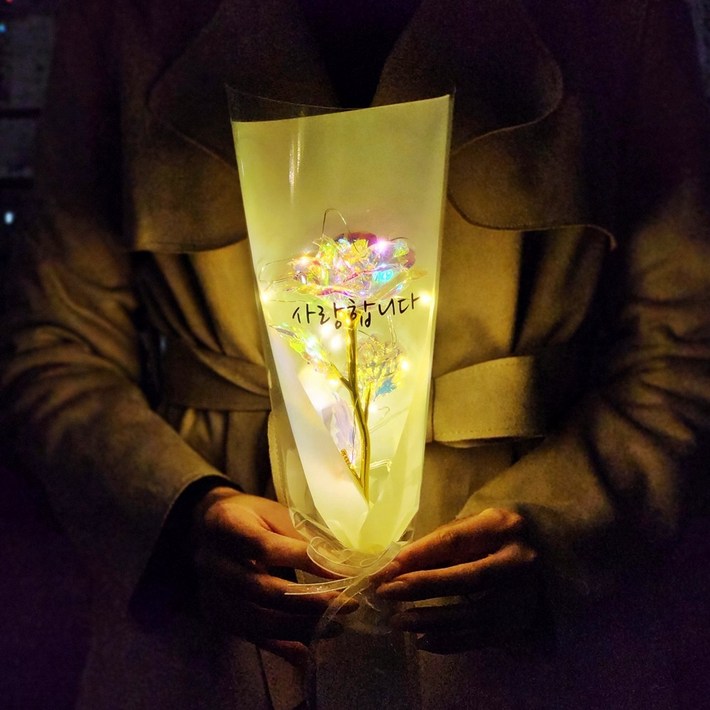 라알레그리아 조화 홀로그램 장미 LED 한송이 꽃다발, 사랑합니다, 2개 라알레그리아 조화 홀로그램 장미 LED 한송이 꽃다발, 사랑합니다, 2개
