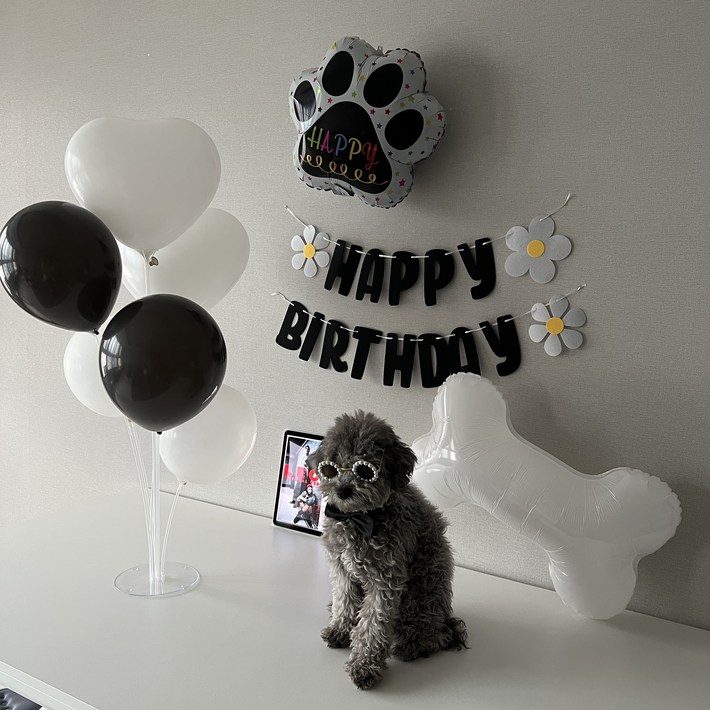 하피블리 강아지 생일 파티 뼈다귀 발바닥 풍선 생일상 세트, 생일가랜드블랙