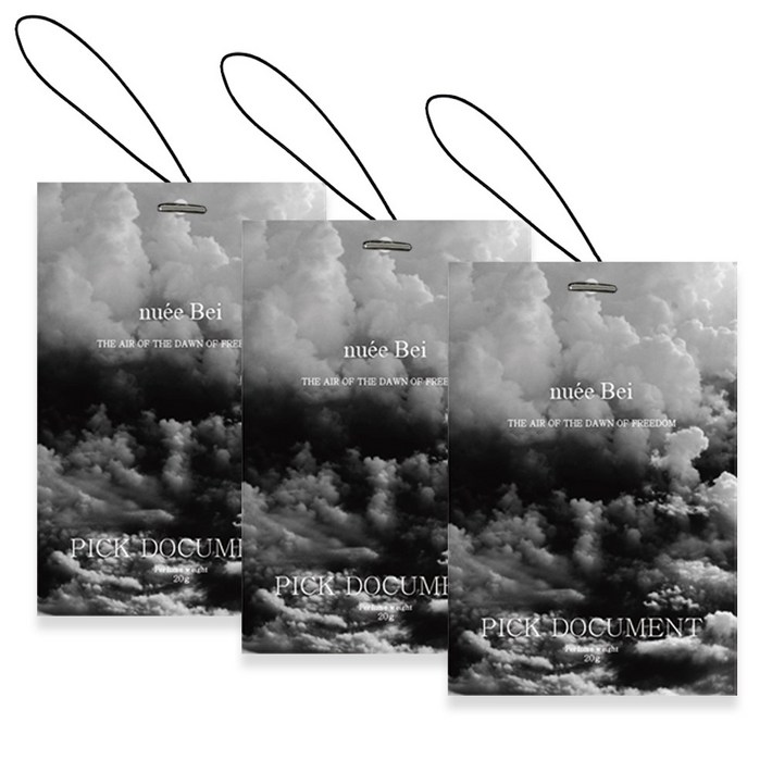  111  픽도큐먼트 퍼퓸 에어 샤쉐 차량용 방향제 3p, 1세트, 니아쥬 베이, 2세트