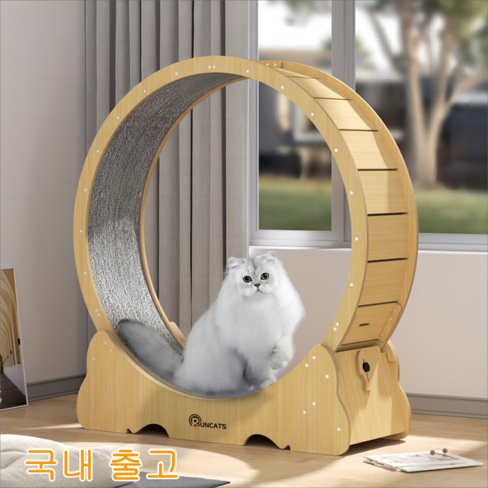 RUNCATS 설치 면제 캣휠 무소음 고양이캣휠 RUNCATS 설치 면제 캣휠 무소음 고양이캣휠