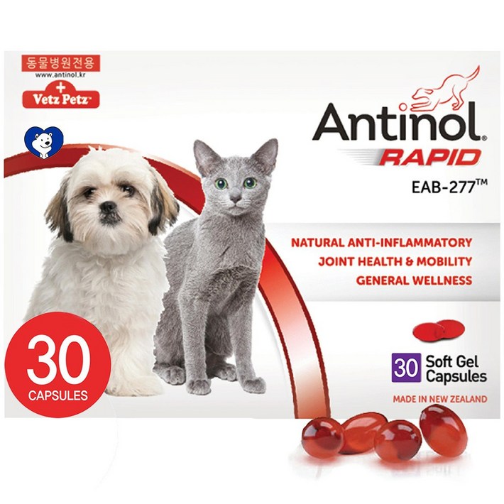 안티놀래피드 30캡슐 정품 강아지 고양이 관절영양제, 단품, 단일상품