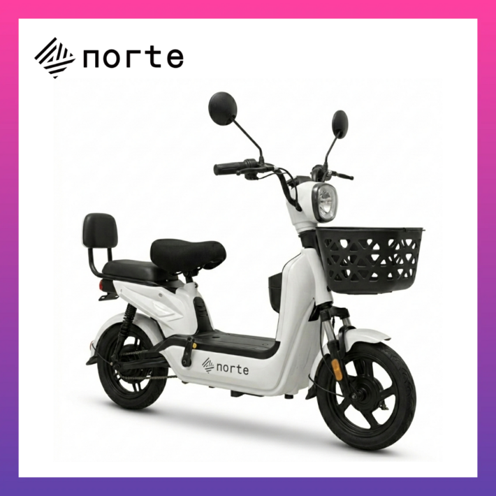 전동 스쿠터 전기 자전거 팻바이크 성인용 출퇴근 미니벨로, 화이트, 스틸