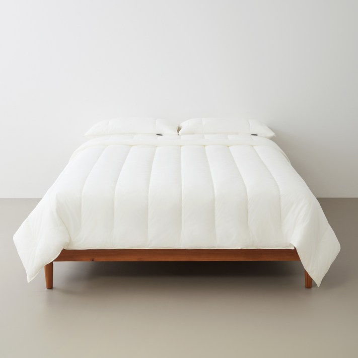 센타스타 센세이션 솔로 차렵이불