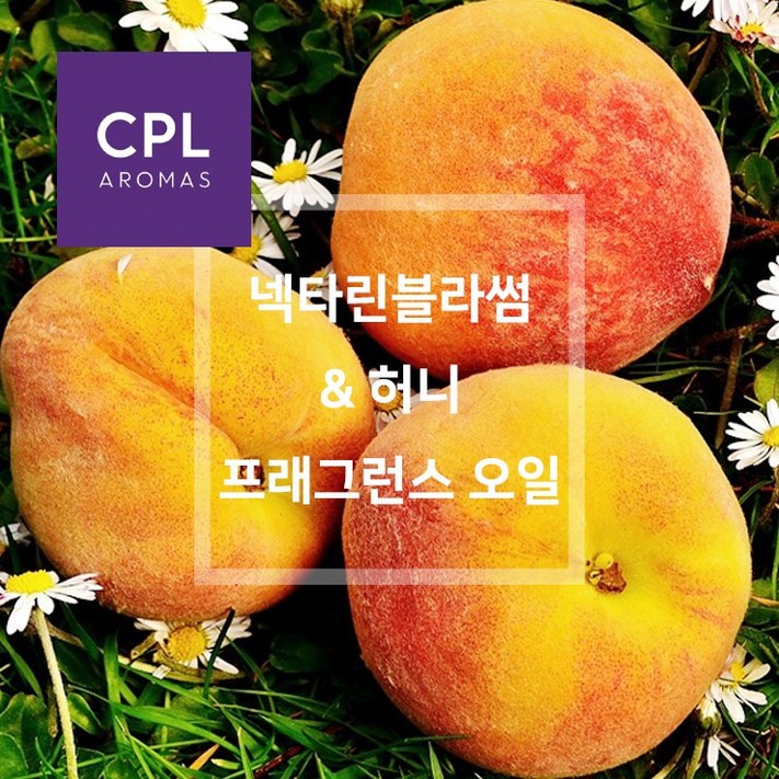 넥타린블라썸 앤 허니 향 프래그런스오일 20ml 500ml 영국 CPL 아로마 캔들 디퓨져 재료