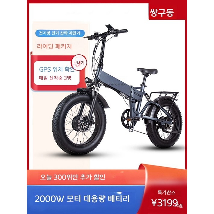 랑케레이시 접이식 전기자전거 1000W