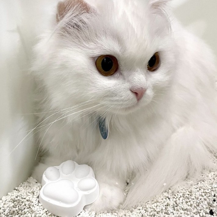 냥프레쉬 고양이 화장실 반영구 살균 탈취제, 4구 1세트 - 투데이밈