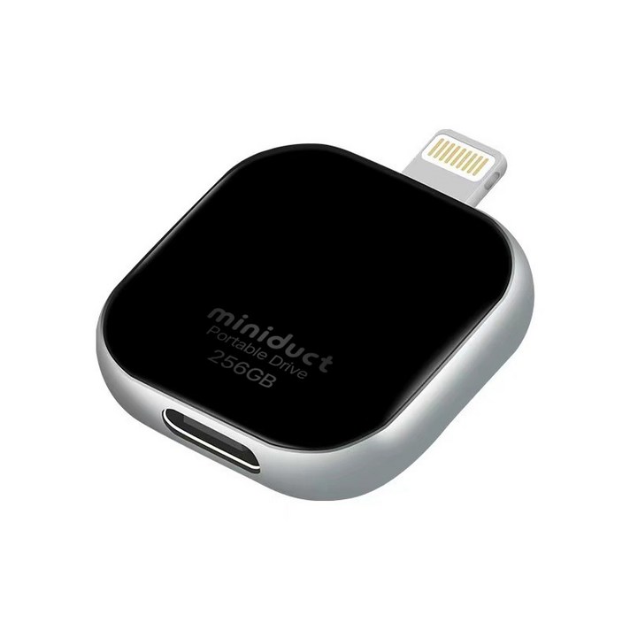 미니덕트 아이폰 외장메모리, mi2000DT 256gb, 단일