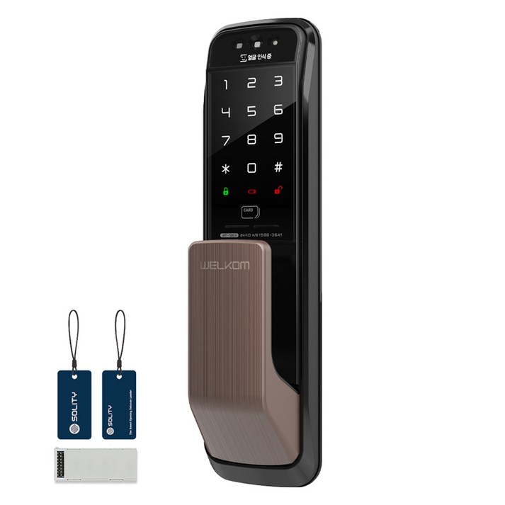 솔리티 3D 얼굴인식 무타공 푸시풀 손잡이 도어락 + WIFI 모듈 패키지