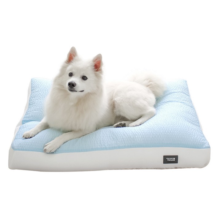 초코펫하우스 아이스 와플 방석, 블루, 1개