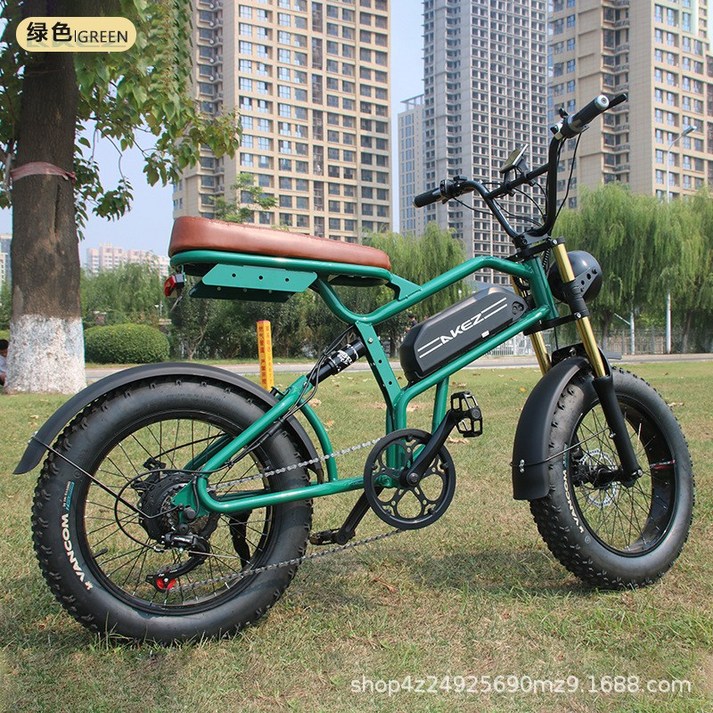 자토바이 자토바이 팻바이크 전기자전거 20인치 1500W