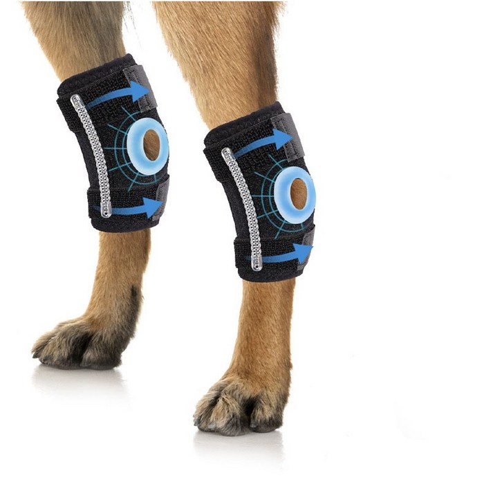 OSTB 강아지 관절 무릎 보호대