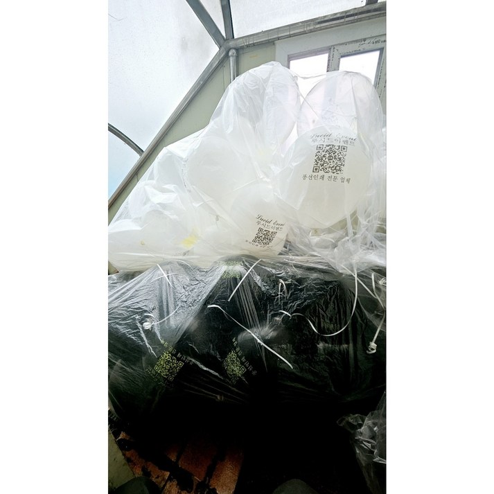 인쇄 풍선 제작, 1000개, 헬륨 주입 차량배달 옵션