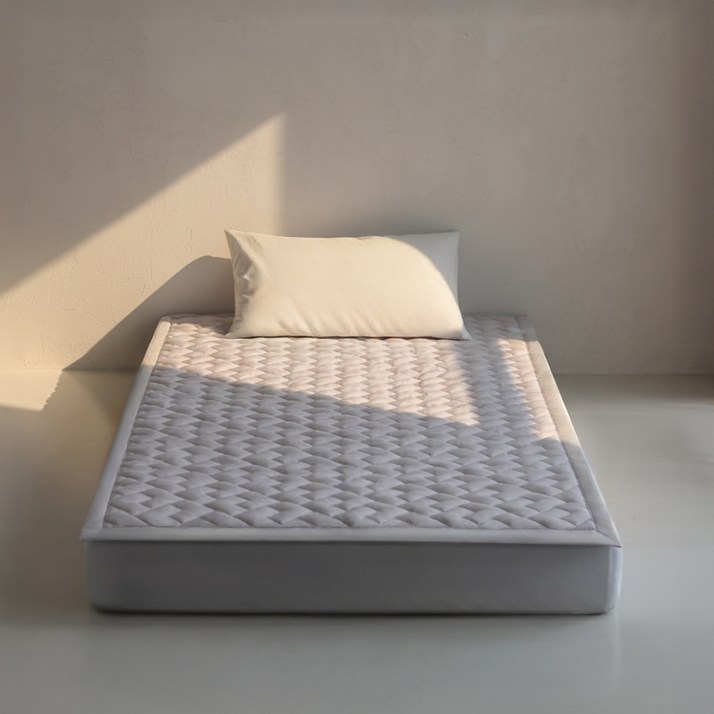 디센느 프리미엄 탄소 전기매트 HI2025S, 베이지, 슈퍼싱글110 x 200 cm