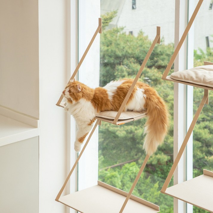 애니멀리프 접을 수 있는 창문 캣타워 / 고양이 원목 소형 미니 대형 계단 캣워크 캣워커 - 쇼핑앤샵