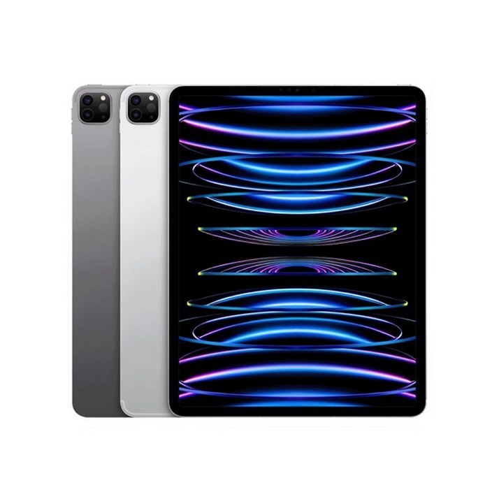 애플 아이패드 pro 11형 4세대