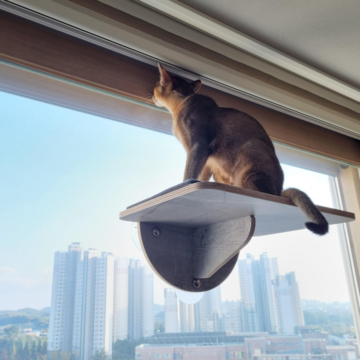헤라우스점핑 고양이 일광욕 창문 캣타워 투명 해먹 캣워크 캣워커 캣폴, 창문 캣워커, 1개 6756605382