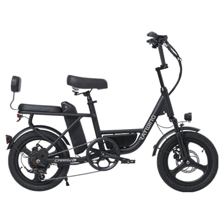 레이윙 캐리 라이트 컴팩트 전기자전거 삼성셀 배터리 25Ah 고객직접설치, 팬텀블랙, 스틸