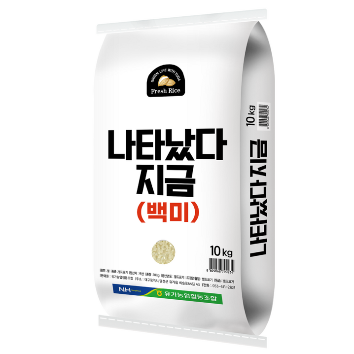 나타났다 지금 10kg, 1개
