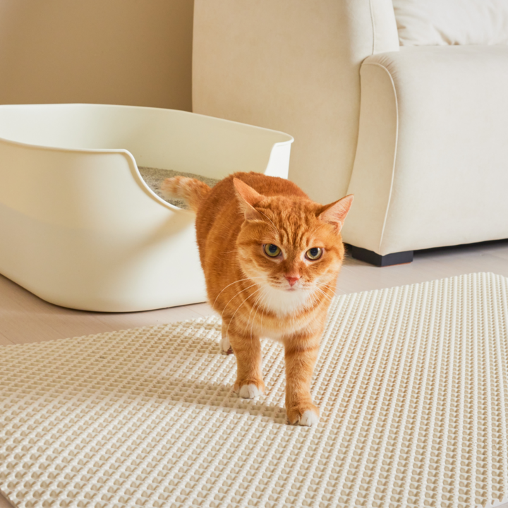 3651 이지클린 고양이 화장실 모래매트 특대형, 크림치즈
