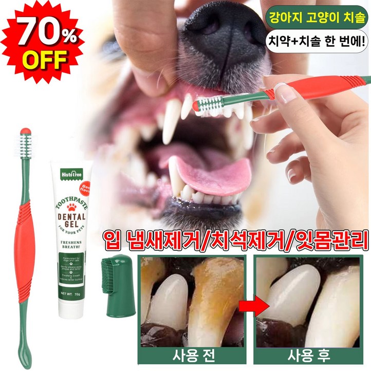 미국기술 강아지 고양이 치약 치솔 치석 제거입냄새 제거구강청결잇몸관리