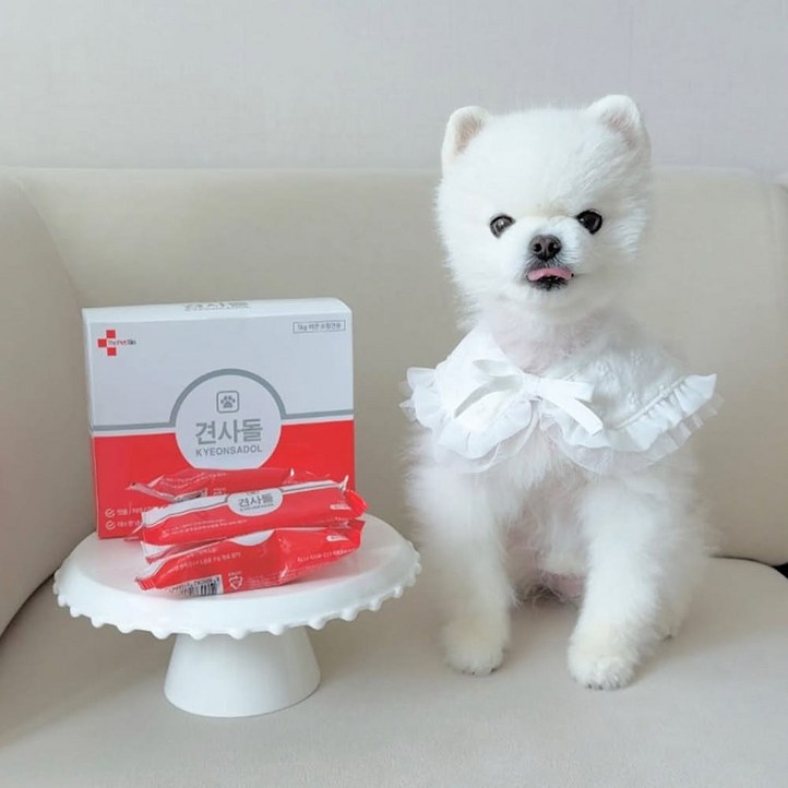 TV홈쇼핑정품 찜케어 견사돌 펫바이오 영양제 강아지 반려견 치석제거 잇몸관리 덴탈껌 강아지간식