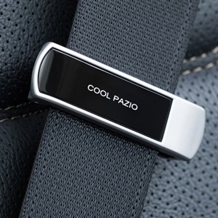 로드블레스 차량용 안전벨트 클립 버클 PZ701, 2개