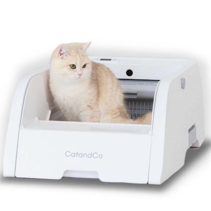 캣앤코 고양이 오픈형 자동화장실 스마트 프리미엄 자동처리기 배변 저소음 화장실 청소, 화이트, 1개