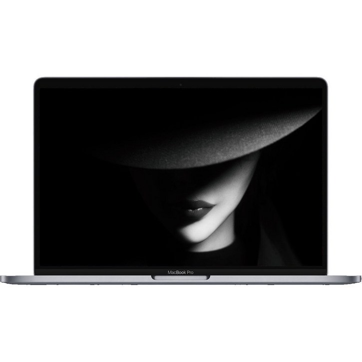 중고 애플 맥북프로 2018 A1989 13.3인치 i5-8279U/8G/SSD 256G 스페이스 그레이, 애플 맥북프로 A1989, MAC OS, 8GB, 256GB, 스페이스 그레이