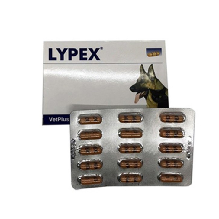 벳플러스 라이펙스 LYPEX 60캡슐 벳플러스 라이펙스 LYPEX 60캡슐