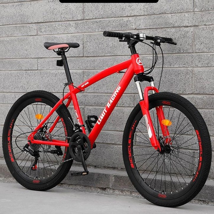 산악 자전거 엠티비 트렉 입문용