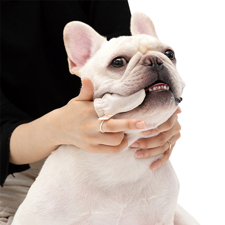 래핑찰리 반려동물 오가닉 거즈 손가락 칫솔 6p, 단일 색상, 1개