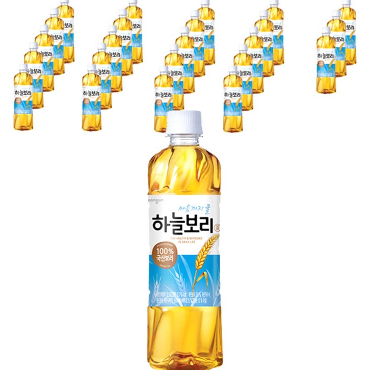 웅진 하늘보리