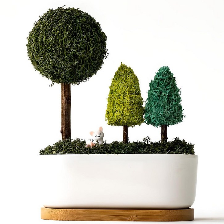 스칸디아모스 포레스트 화분