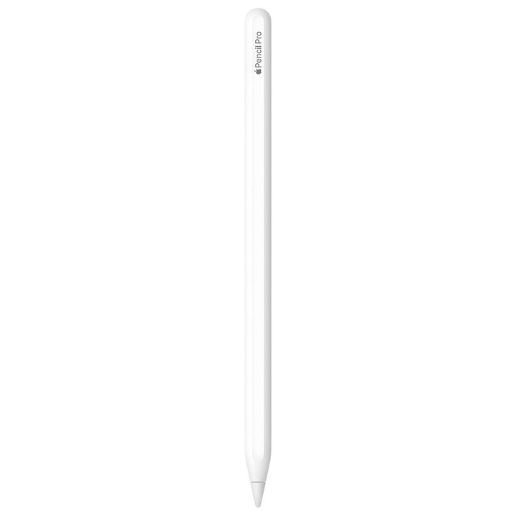 Apple 정품 애플펜슬 프로, 화이트, 1개