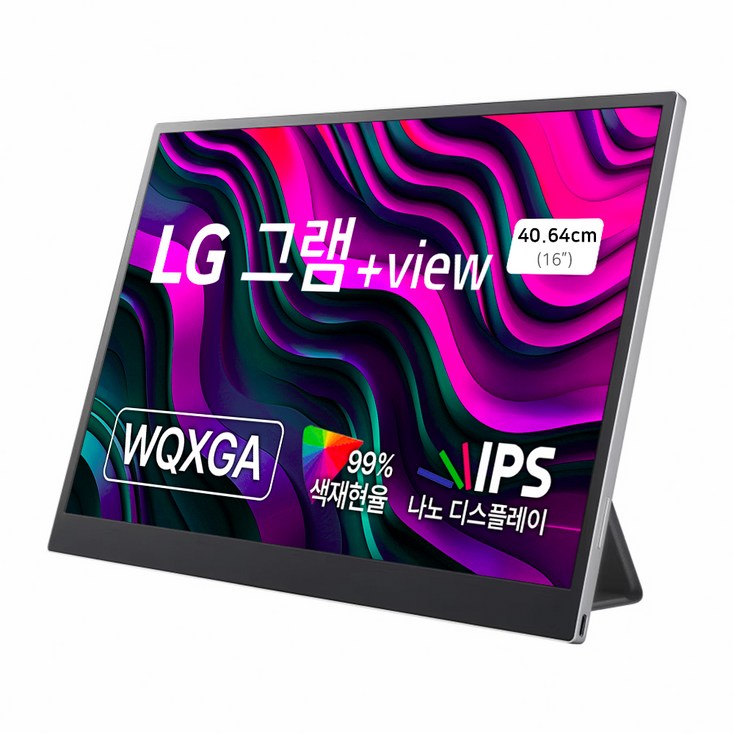 LG전자 WQXGA 그램 View 모니터
