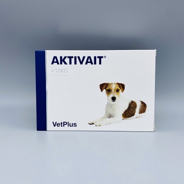 강아지 노령견 항상화제 치매 증상 완화 영양제 AKTIVAIT Capsules 액티베이트 캡슐 60정 - 투데이밈